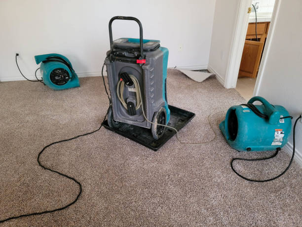 Best Emergency water damage restoration  in Mayfield, PA