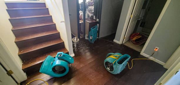 Best Water damage mitigation services  in Mayfield, PA
