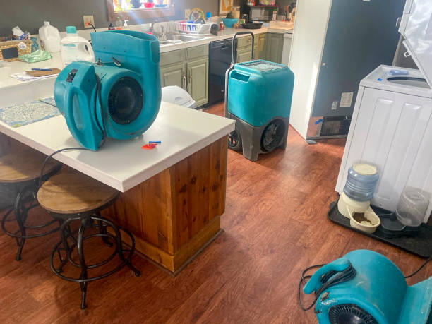 Best Water damage contractors near me  in Mayfield, PA