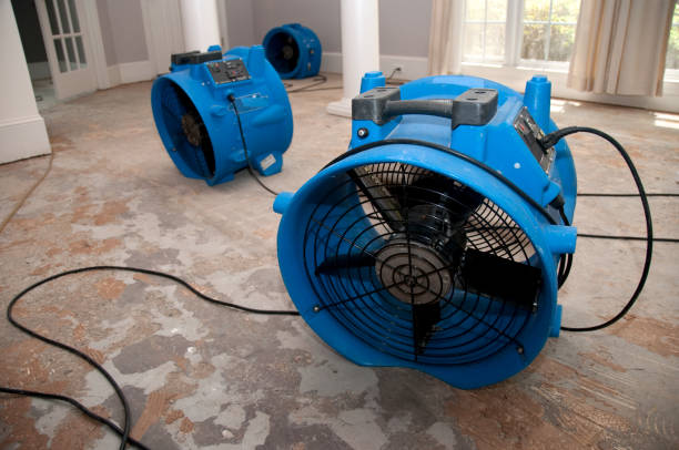 Best Local water damage restoration  in Mayfield, PA