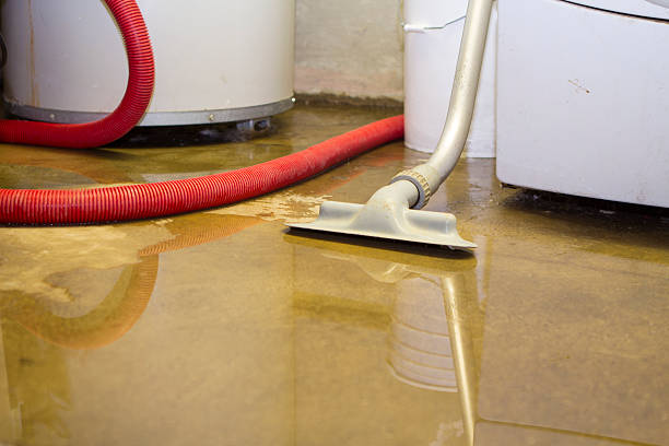 Best Water damage restoration company  in Mayfield, PA