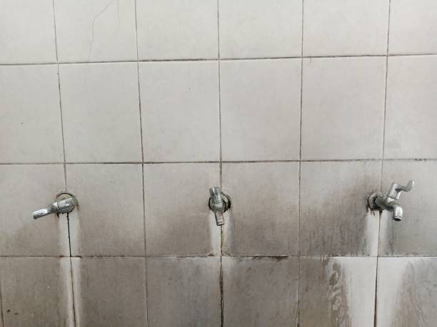 Best Basement water damage restoration  in Mayfield, PA