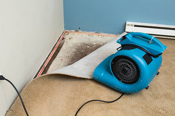 Best Water damage restoration near me  in Mayfield, PA